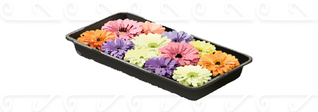 ご葬儀時にお花盆（２万円相当）プレゼント